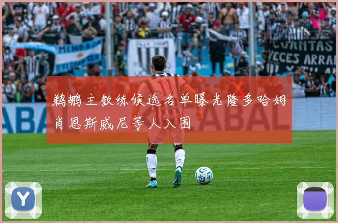 鹈鹕主教练候选名单曝光隆多哈姆肖恩斯威尼等人入围